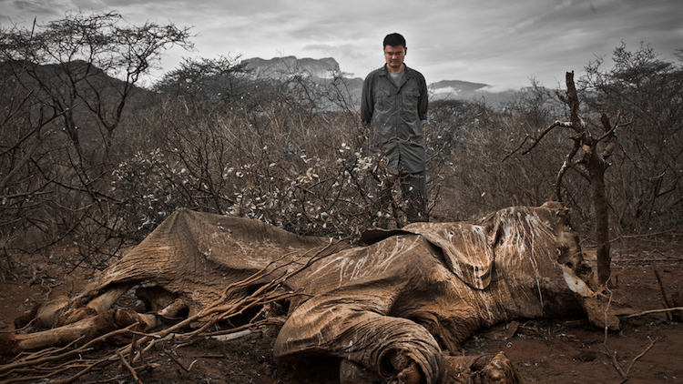A mammoth task: Carving out a future without illegal ivory