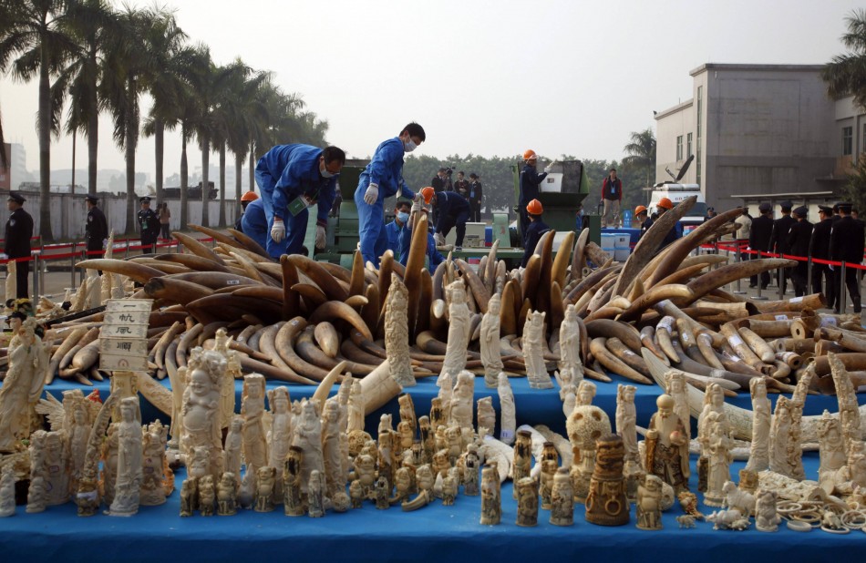 Joint Chinese-Kenyan operation leads to major ivory smuggler arrest