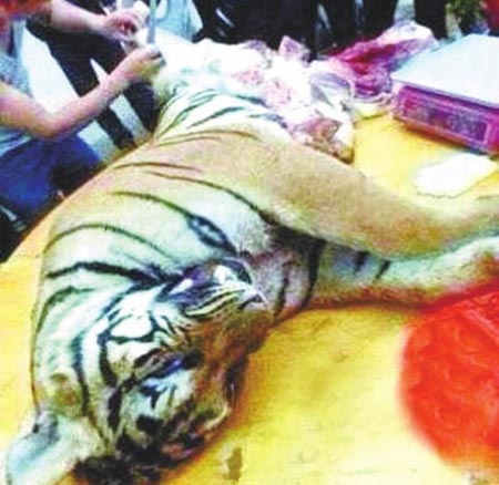 Police find new 'tiger slaughter' party in Guangdong