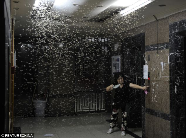 PHOTOS: Thousands of termites attacking Chinese apartment block 