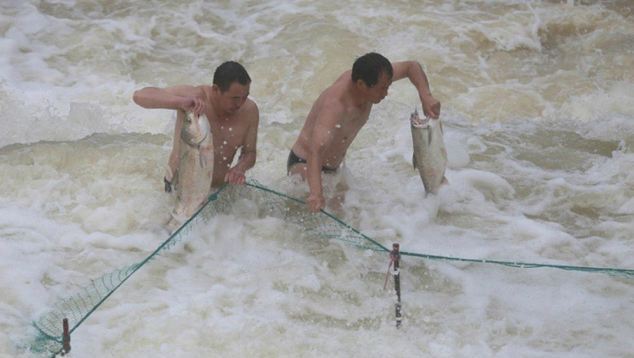 PHOTOS: Village fishing free-for-all when Chinese reservoir floodgates open
