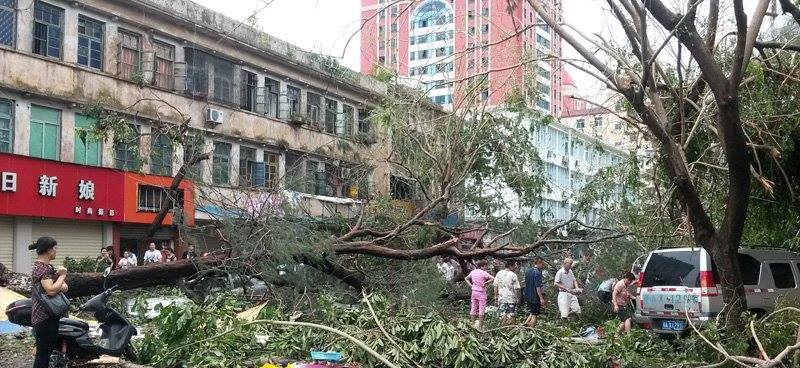 Typhoon Rammasun hits China, leaving 17 dead and causing billions of RMB in damage
