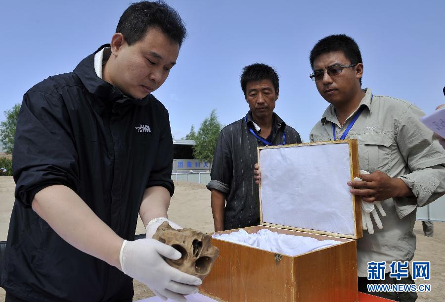 Human skull found in 1,400-year-old Ningxia tomb of European origin?
