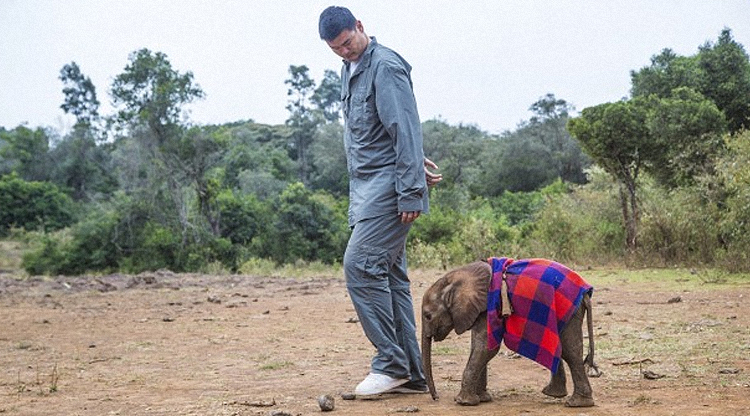 WATCH: Yao Ming stars in a bad ass anti-ivory documentary