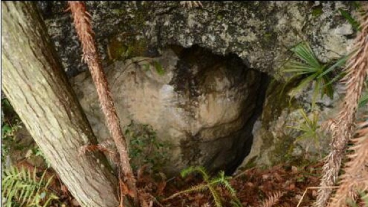 78-year-old woman survives seven days trapped in 20m-deep cave