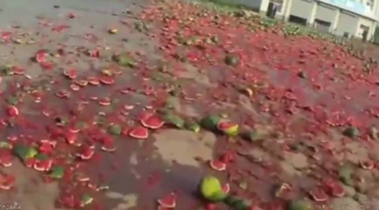 WATCH: Watermelon massacre after truck crashes