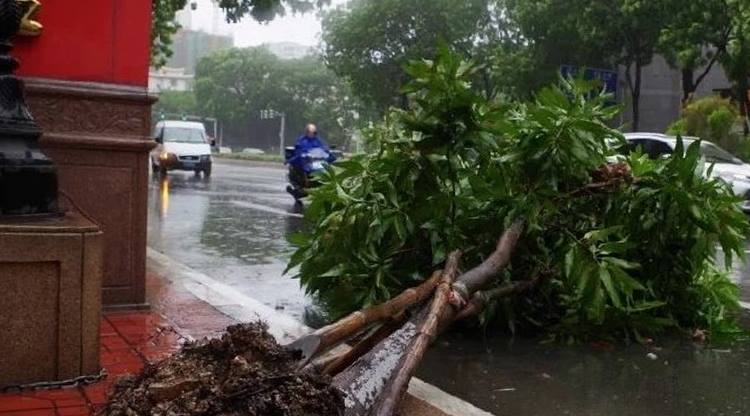 PHOTOS: Typhoon Linfa spares Hong Kong, wreaks havoc for thousands in Guangdong 