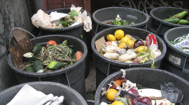 Clean your plate: China's growing food waste problem